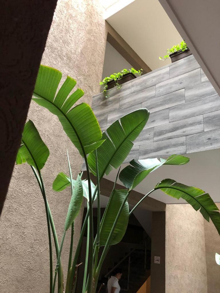 Hotel Plaza Arteaga Monterrey Exterior photo